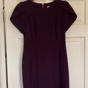 Calvin Klein Tulip Sleeve Work Dress